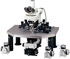电生理专用显微镜